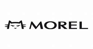 Morel